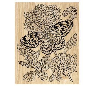 Tree Nymph Butterfly Project Patterns