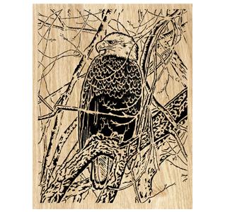 Eagle's Watch Scrolled Art Project Pattern - The Winfield Collection
