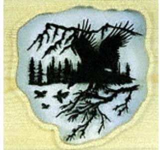 The Chase Project Pattern - The Winfield Collection