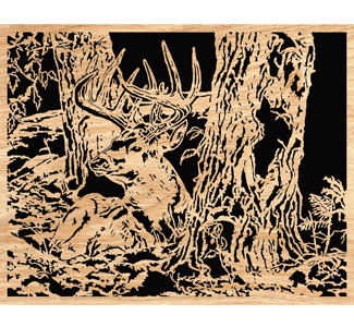 "Time to Rest" Buck in Forest