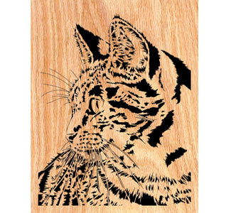 Curious Kitty Scrolled Art Design Pattern - The Winfield Collection
