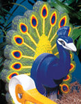 Layered Peacock Woodcraft Pattern