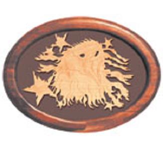 Screaming Eagle #3 Project Pattern