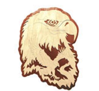 Bald Eagle - Nature's Majesty Project Pattern(F) - The Winfield Collection