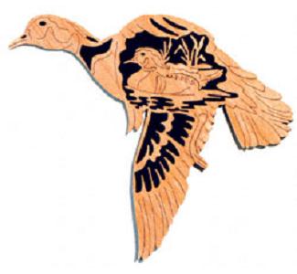 Wood Duck - Nature's Majesty Project Pattern