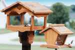Bird Feeders Wood Patterns