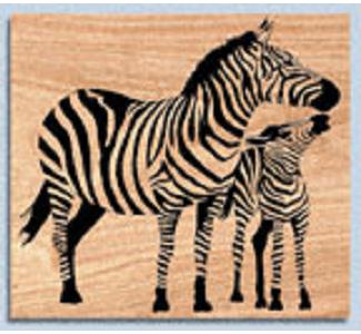 Zebras Project Patterns - The Winfield Collection