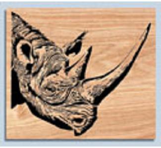 Rhino Project Pattern - The Winfield Collection