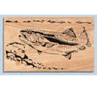 Rainbow Trout Project Pattern - The Winfield Collection