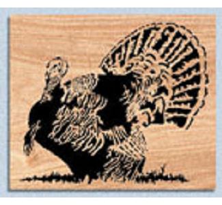 Turkey Project Pattern - The Winfield Collection