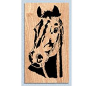 Beauty #2 Project Pattern - The Winfield Collection