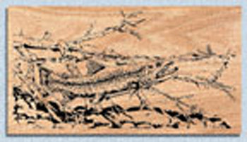 Brown Trout Project Pattern - The Winfield Collection