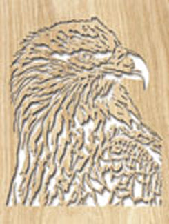 Eagle 2 Project Pattern - The Winfield Collection