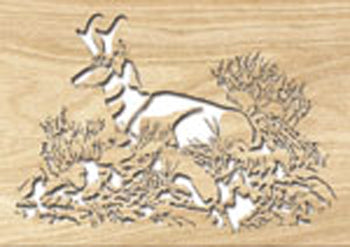 Pronghorn Project Pattern - The Winfield Collection