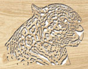 Leopard Project Pattern