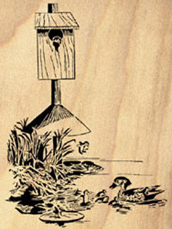 Wood Duck Box Project Pattern