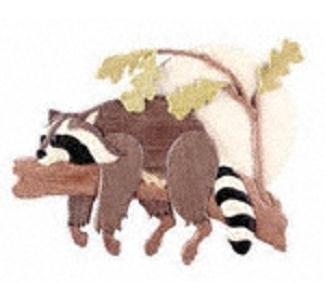 Lazy Raccoon Intarsia Pattern