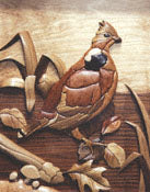 Intarsia - Pheasant [INTHH] - The Winfield Collection