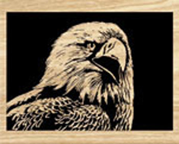 Eagle Scroll Saw Pattern - The Winfield Collection