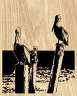 Pylon Pelicans Project Pattern - The Winfield Collection
