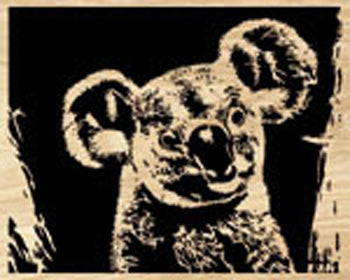 Koala Project Pattern - The Winfield Collection