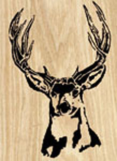 Mule Deer Project Pattern - The Winfield Collection