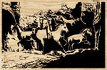 Wild Mustangs Project Pattern - The Winfield Collection