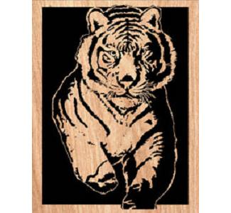 Comin' At 'Cha - Tiger Prowl Project Pattern - The Winfield Collection