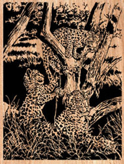 Family Time Project Pattern - The Winfield Collection