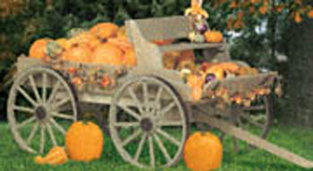 Buckboard Wagon Woodworking Plan