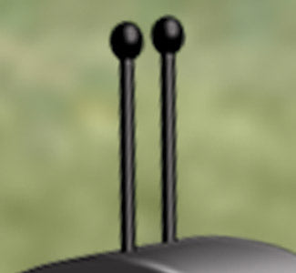 Giant Bug Antennae [ZZ-P-158] - The Winfield Collection