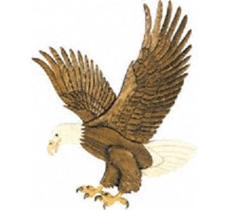 American Bald Eagle Intarsia Pattern