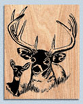 Deer Portrait Scroll Saw Pattern 